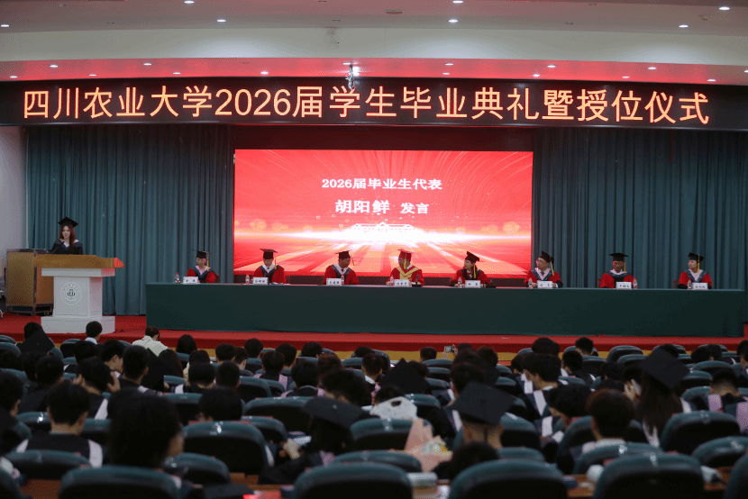 看球吧欧洲杯图片