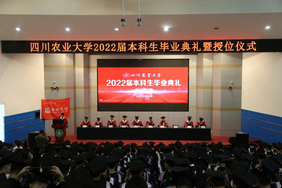看球吧体育频道
