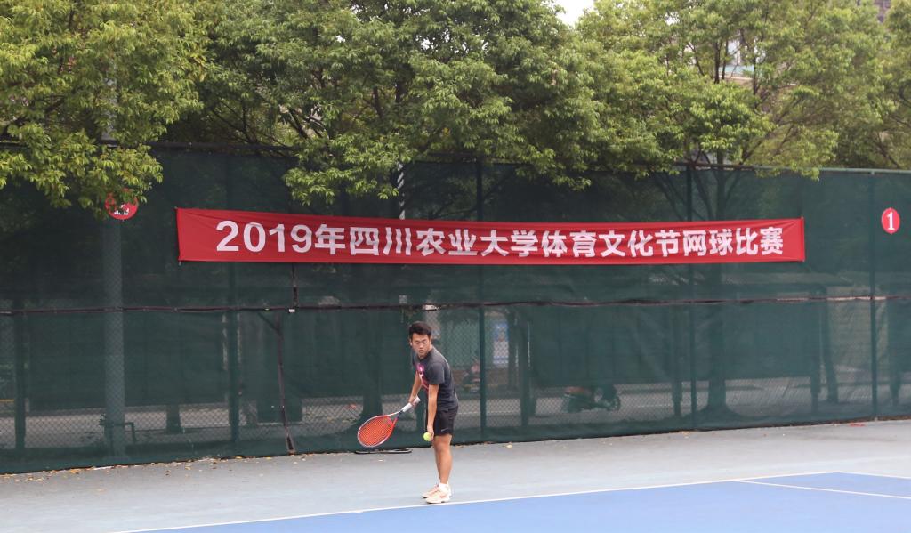 看球吧超级联赛