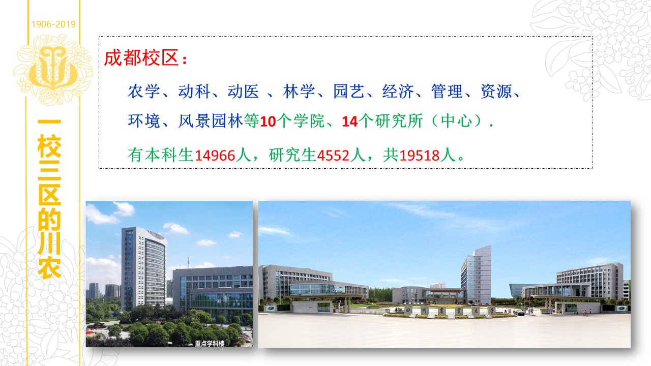 看球吧欧洲杯