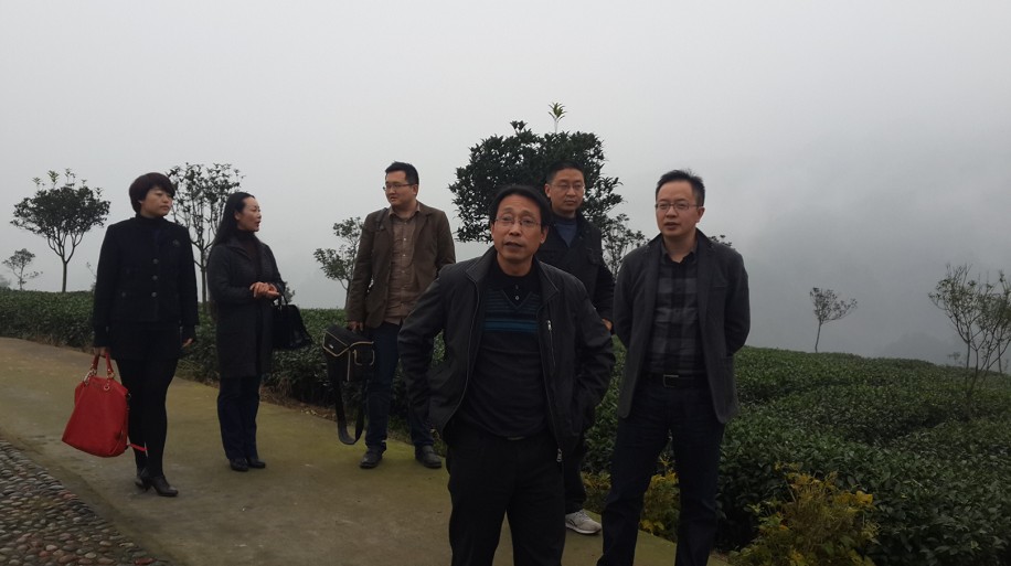 看球吧官方线路图片
