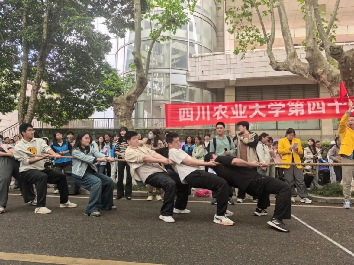 看球吧官方线路