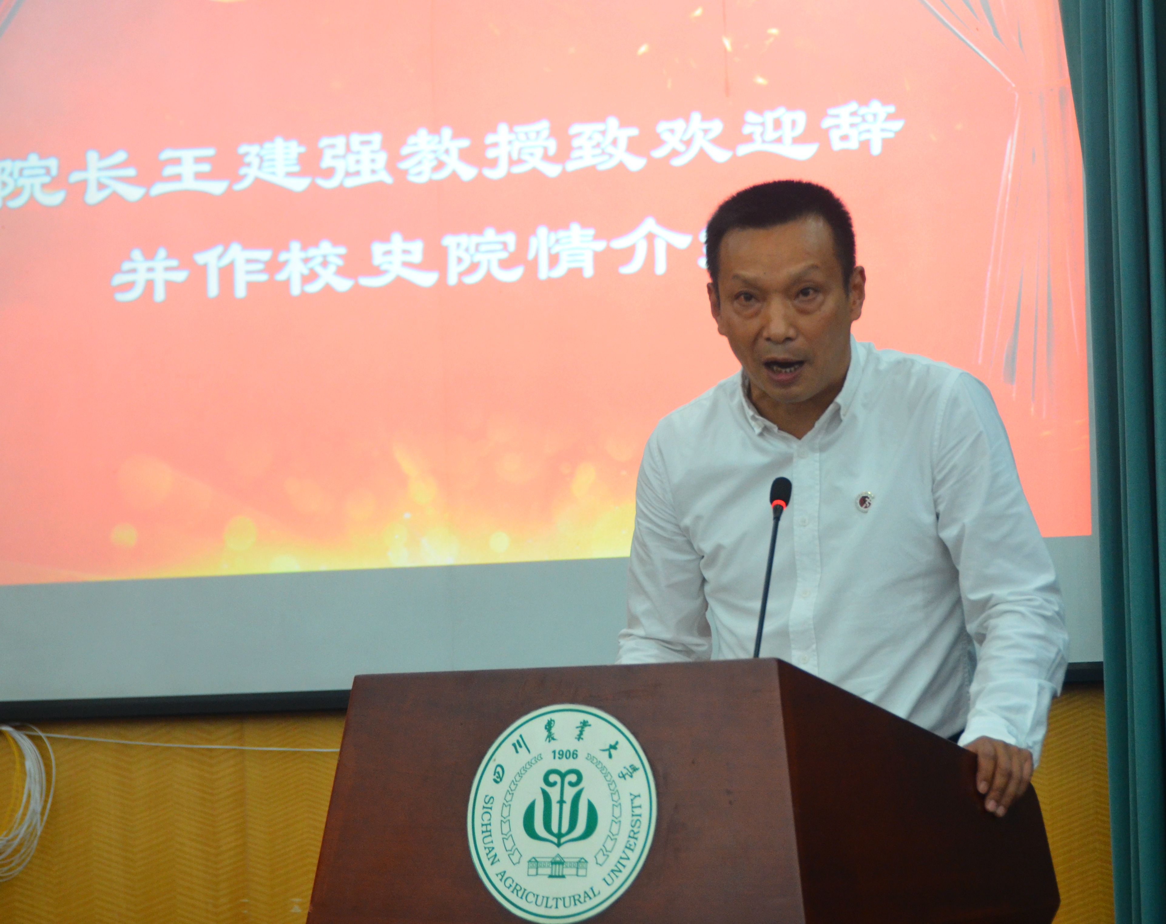 看球吧平台图片