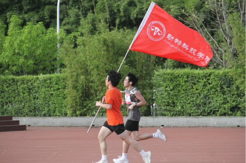 看球吧安全通道