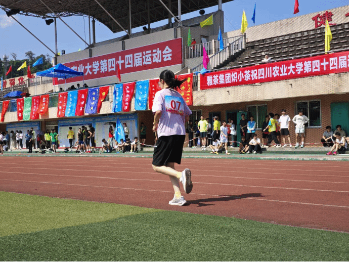 看球吧体育频道