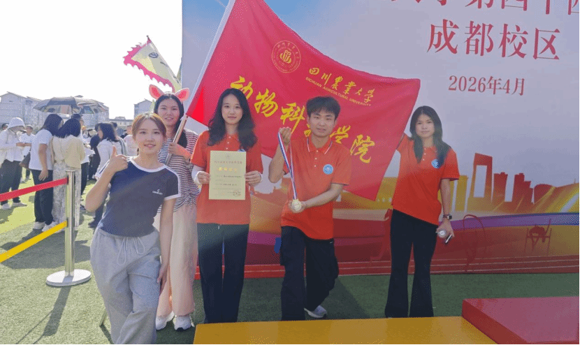 看球吧超级联赛