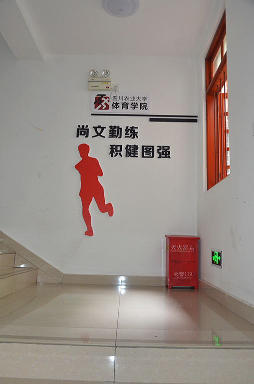 看球吧安全通道图片