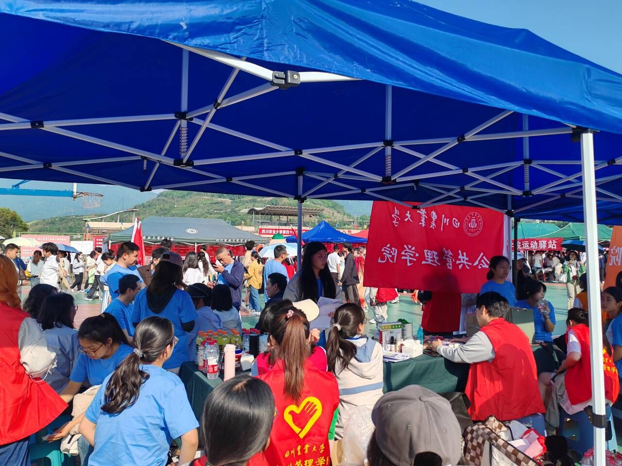看球吧欧冠直播
