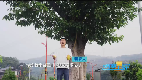 看球吧欧冠直播