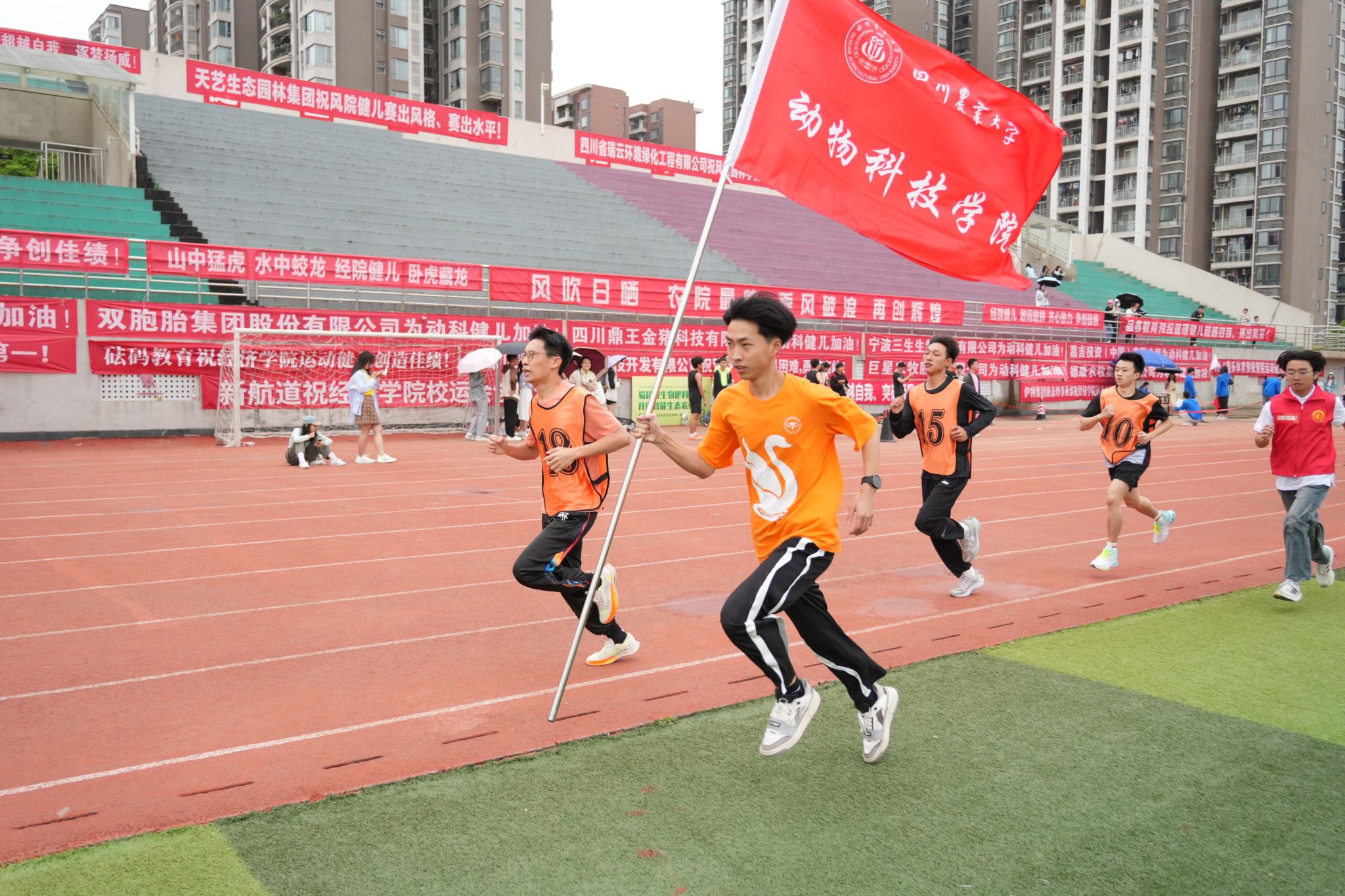 看球吧平台