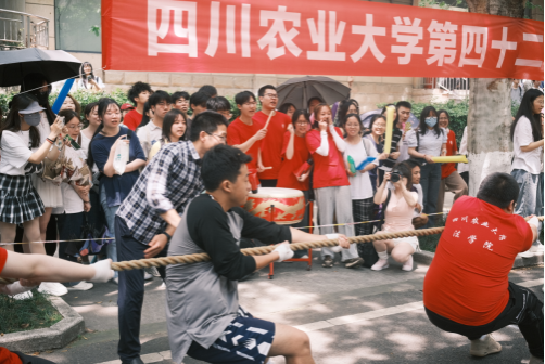 看球吧超级联赛