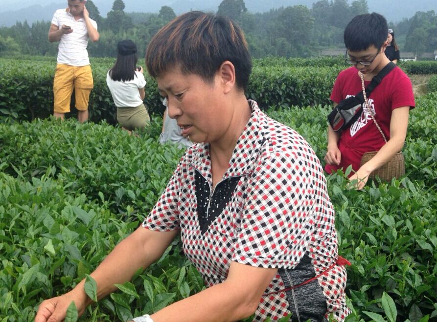 看球吧备用网址图片