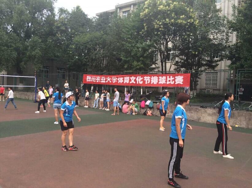 看球吧官方指定端图片