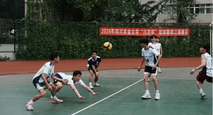 看球吧赛事资讯平台