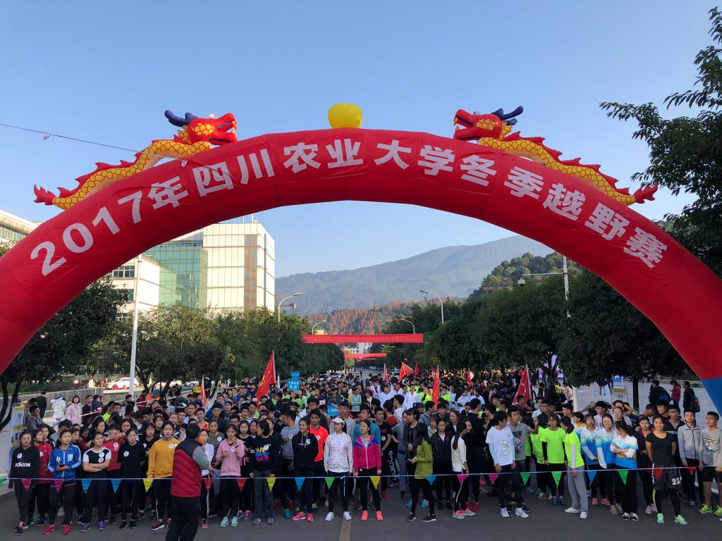 看球吧官方指定端图片