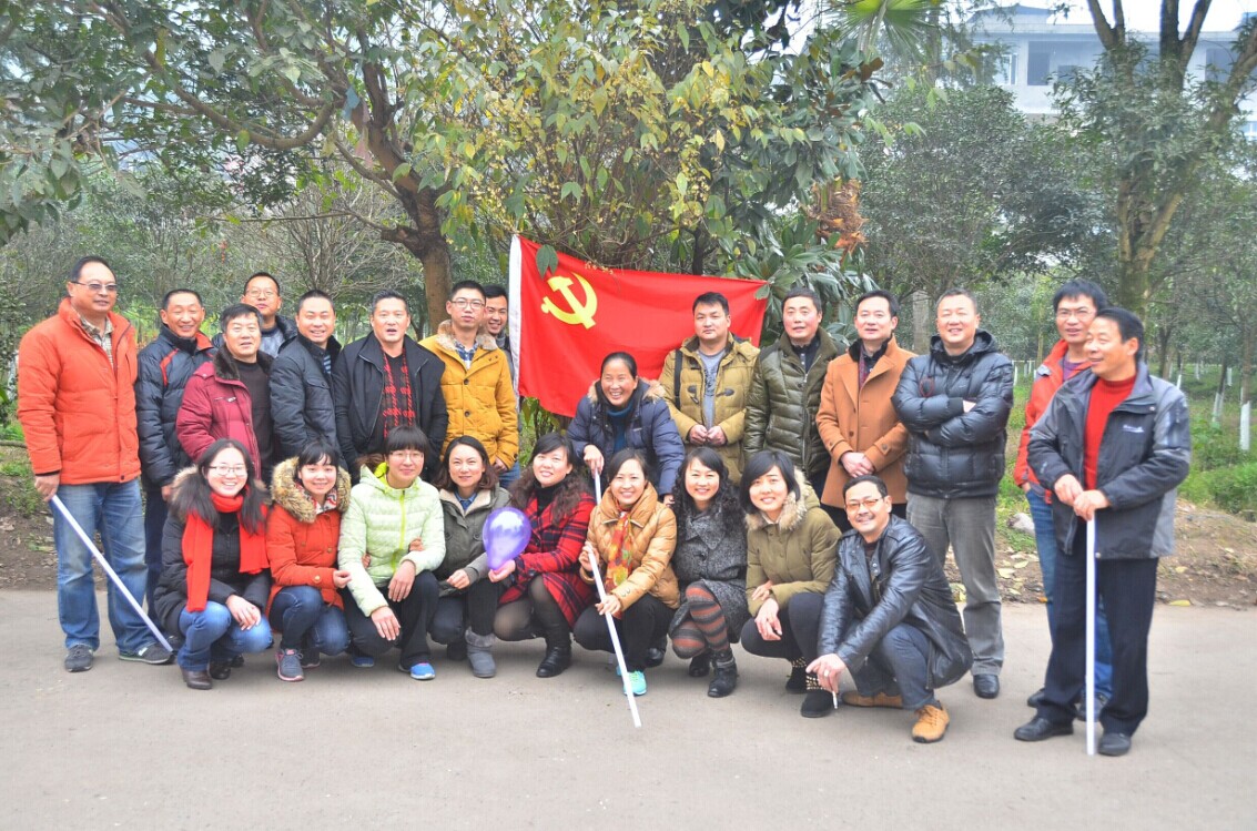 看球吧欧冠直播图片