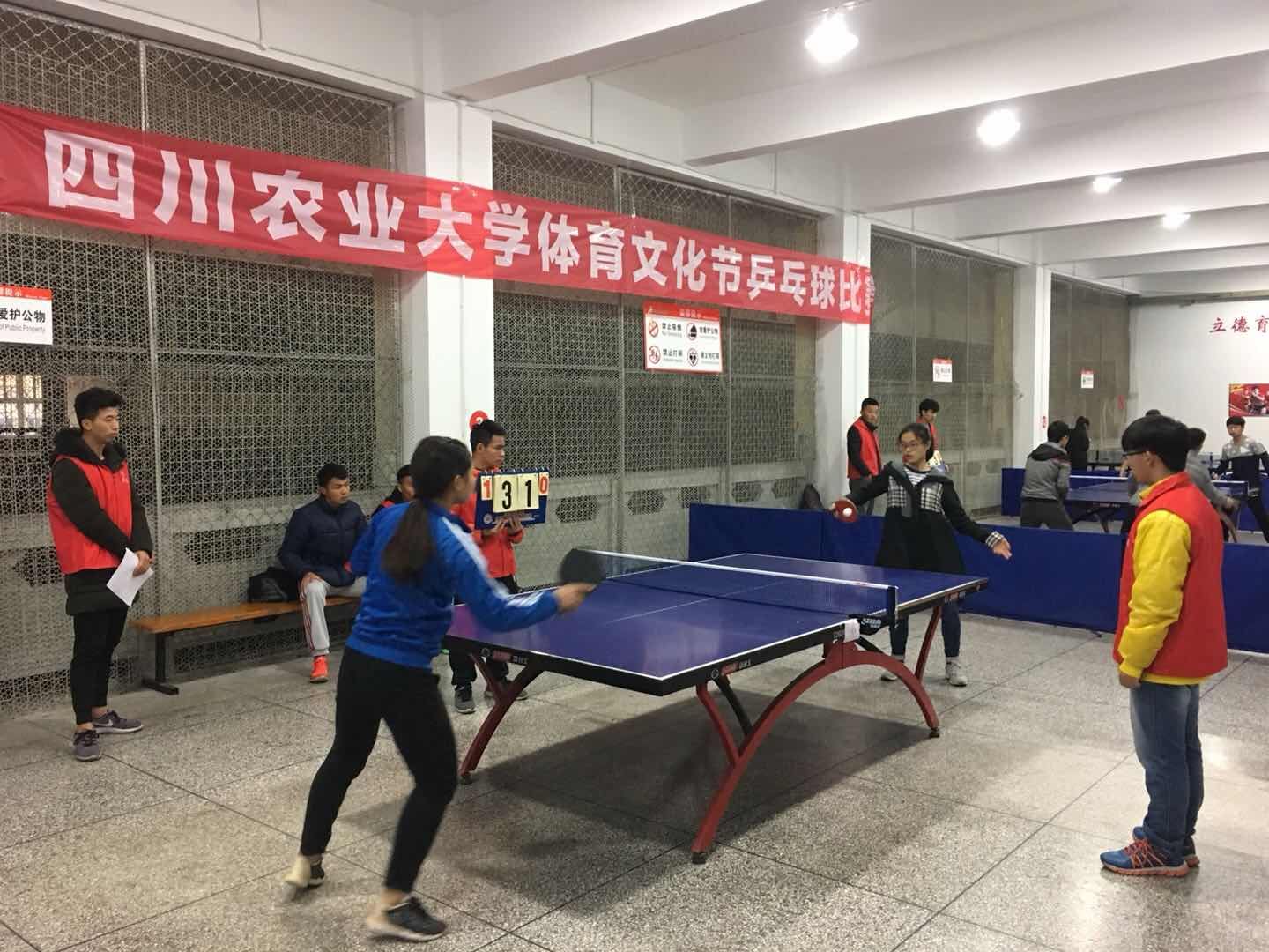 看球吧平台图片