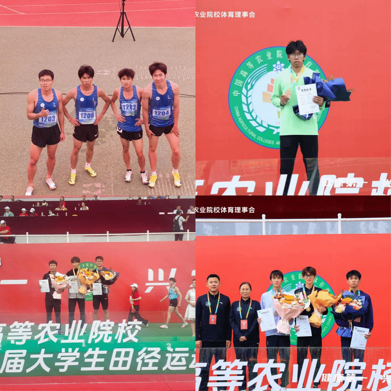 看球吧指定入口图片