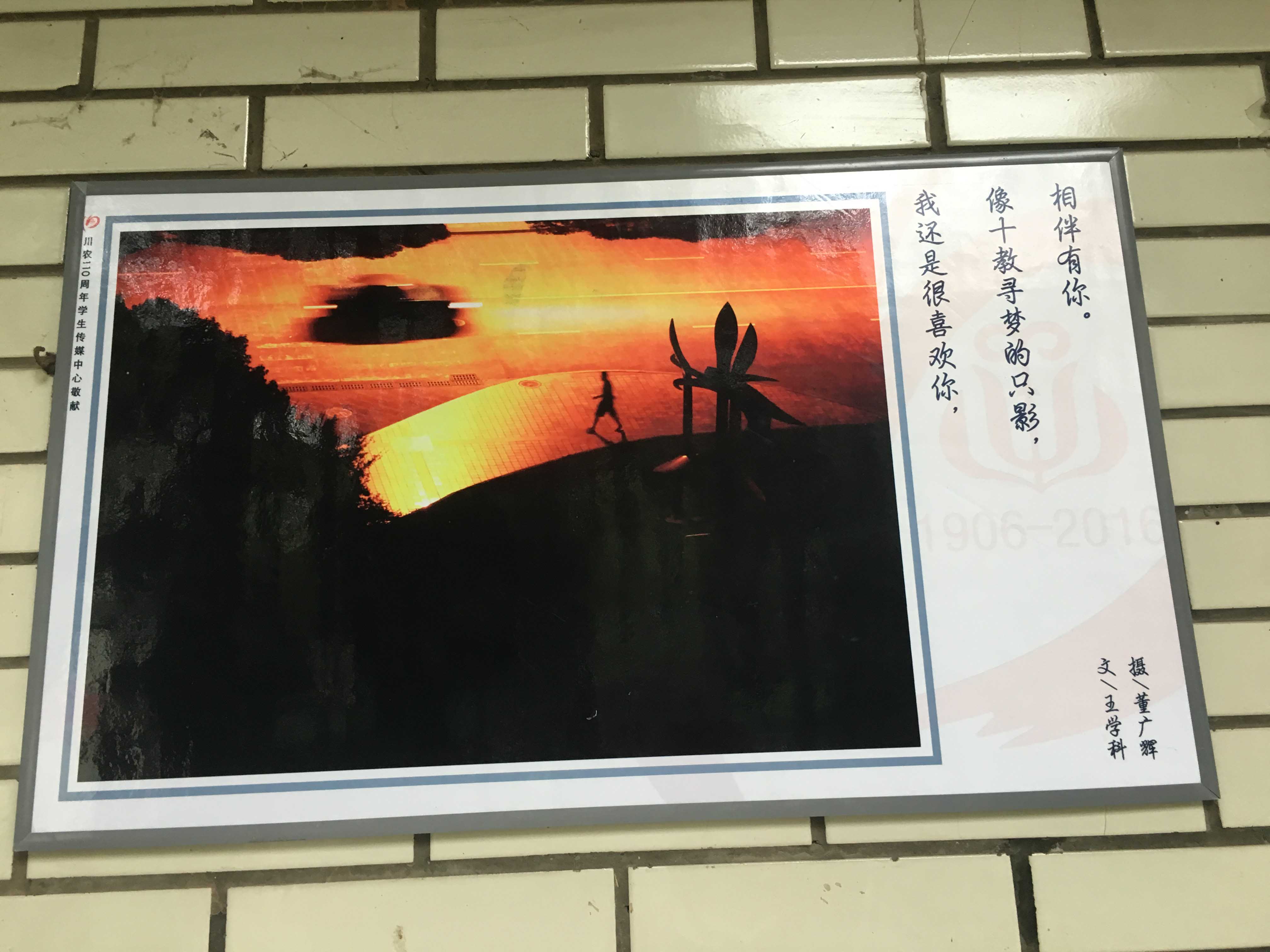 看球吧APP下载图片