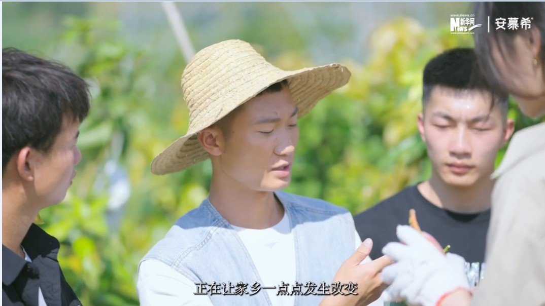 看球吧赛事资讯平台