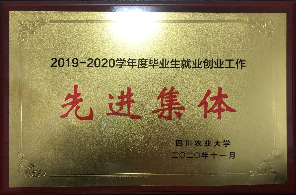 看球吧指定入口图片