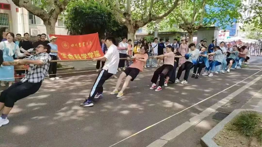 看球吧稳定线路