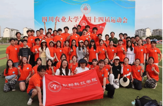 看球吧核心通道