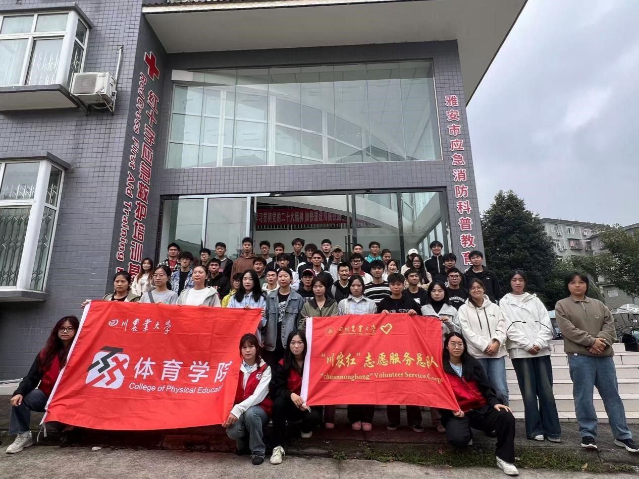 看球吧稳定线路