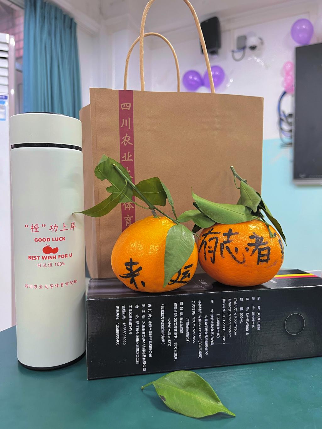 看球吧官方线路