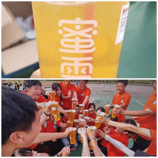 看球吧官方指定端