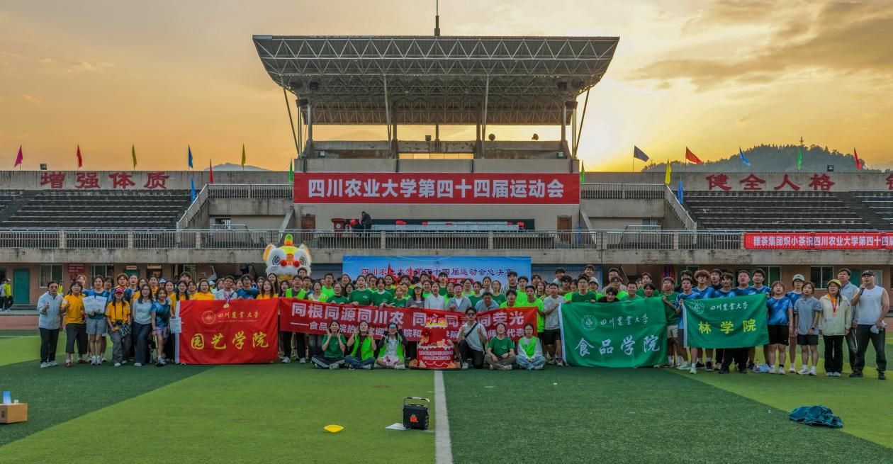看球吧欧冠直播