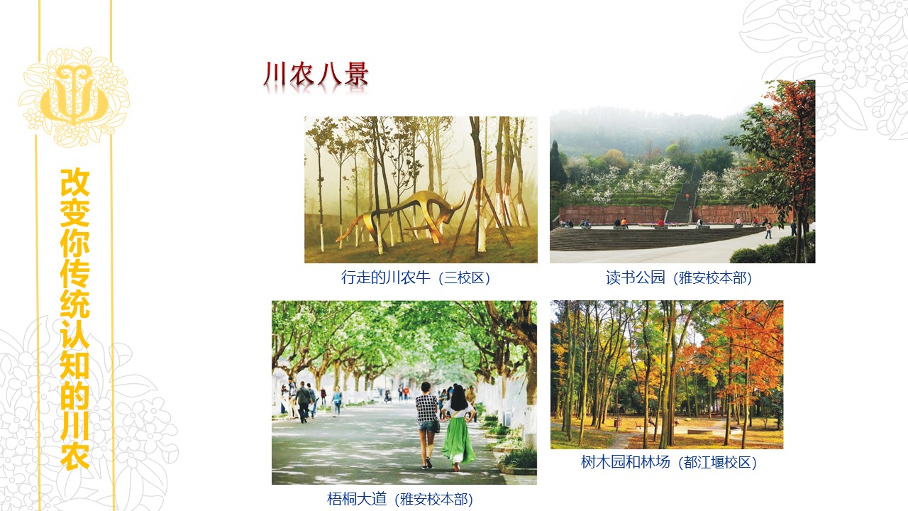 看球吧直播