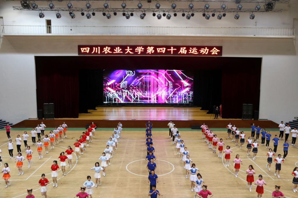 看球吧APP下载