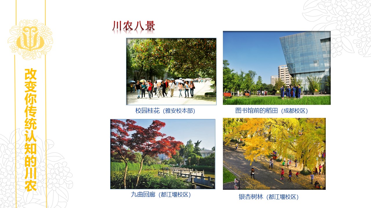 看球吧指定入口