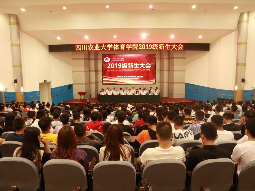 看球吧官方线路