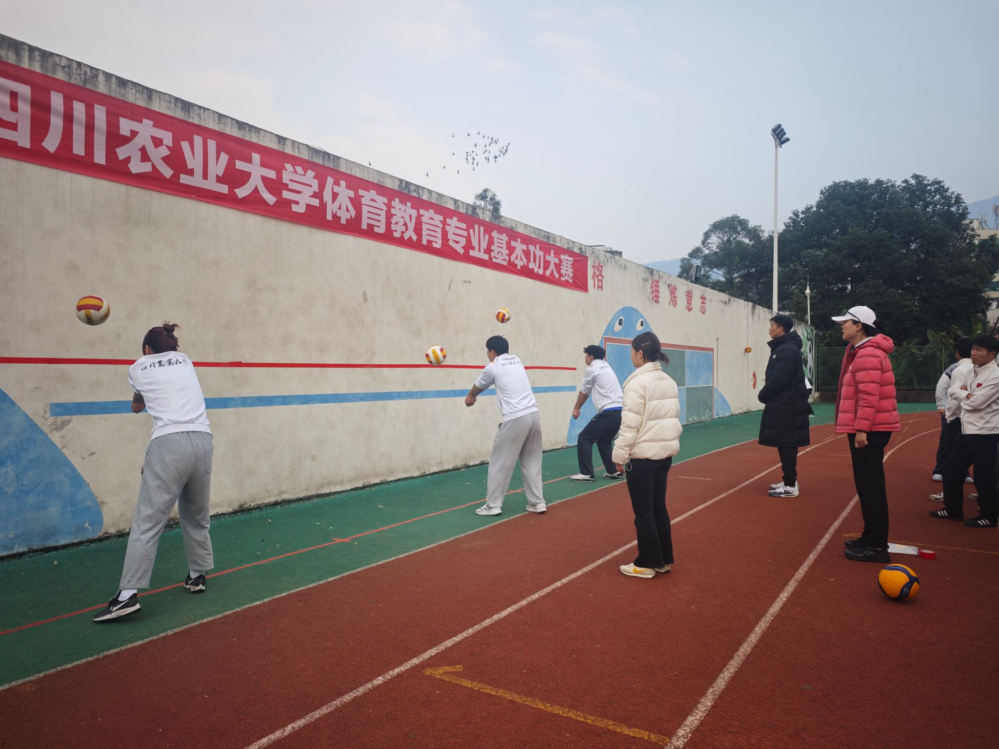 看球吧稳定线路