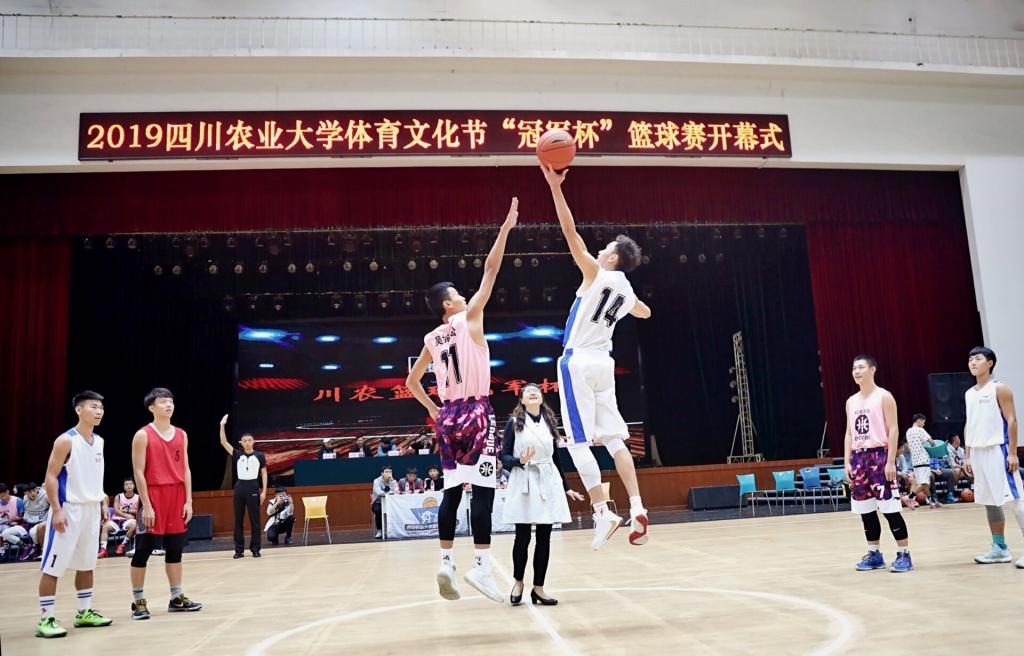 看球吧核心通道