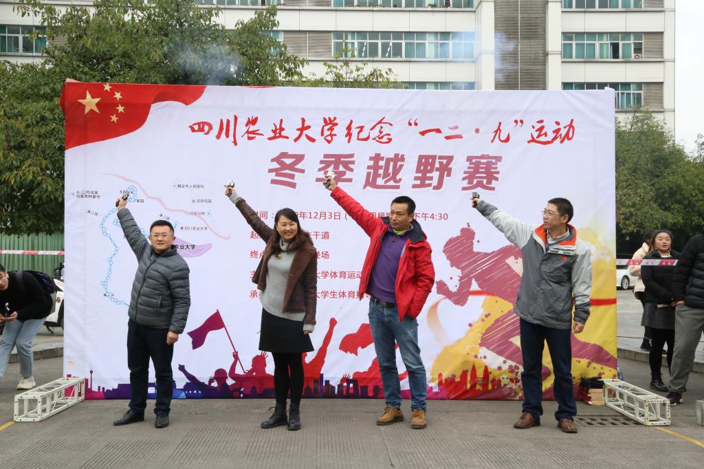 看球吧欧洲杯