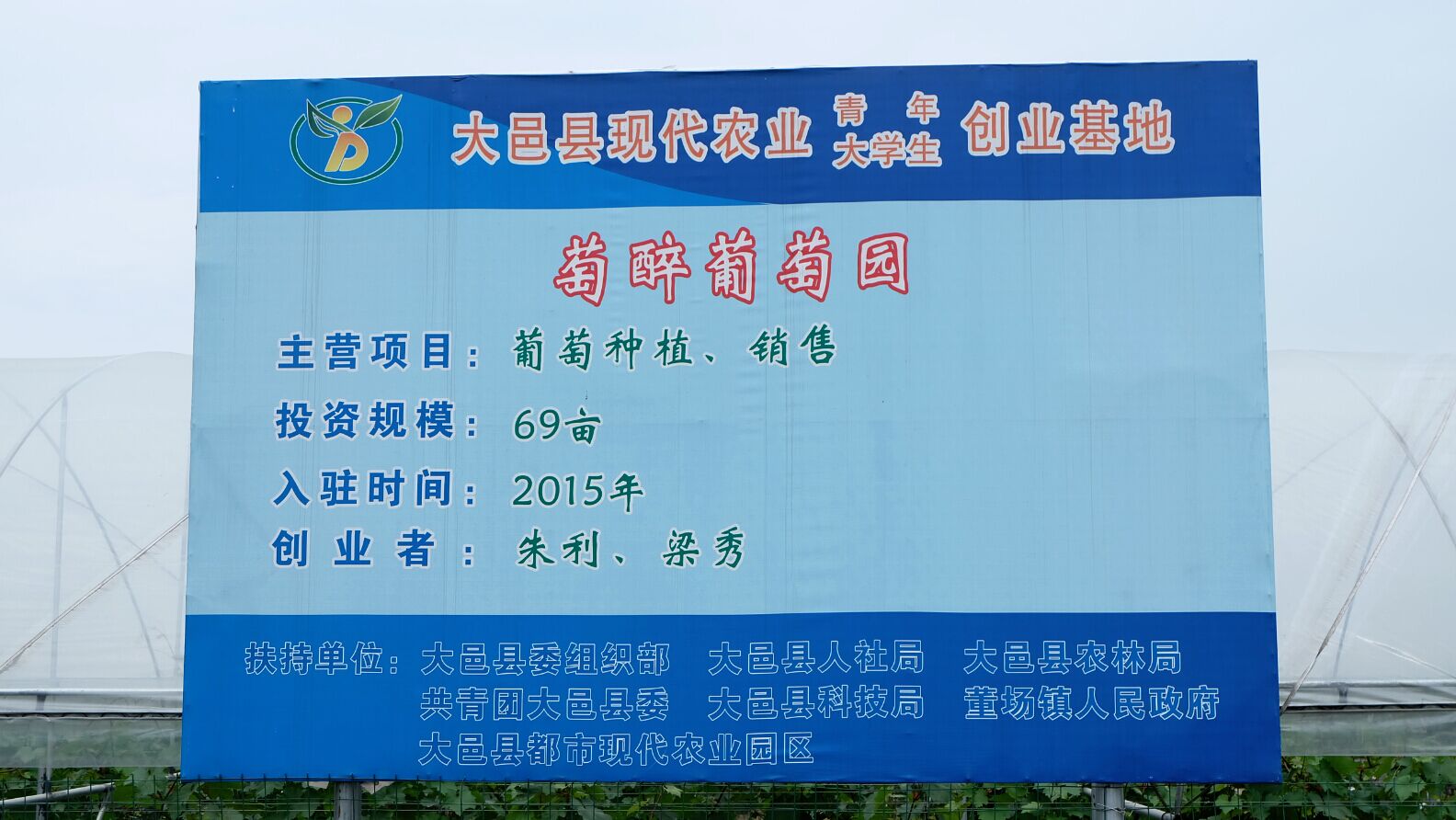 看球吧平台图片