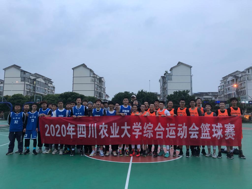 看球吧指定通道
