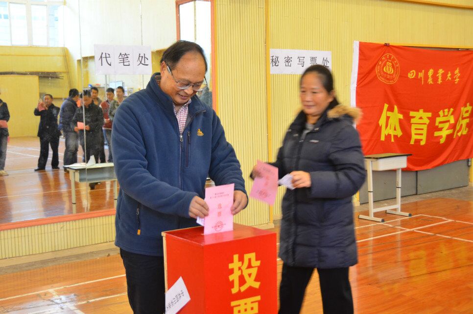 看球吧指定入口图片