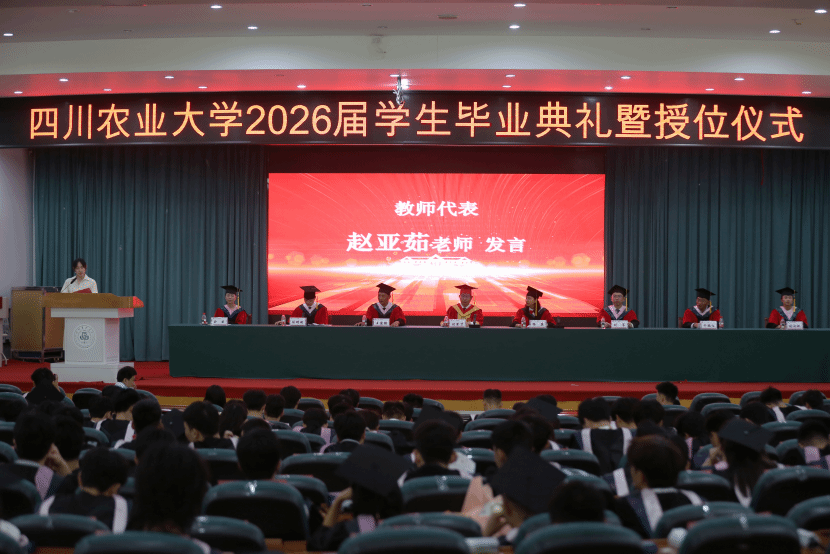 看球吧核心通道图片
