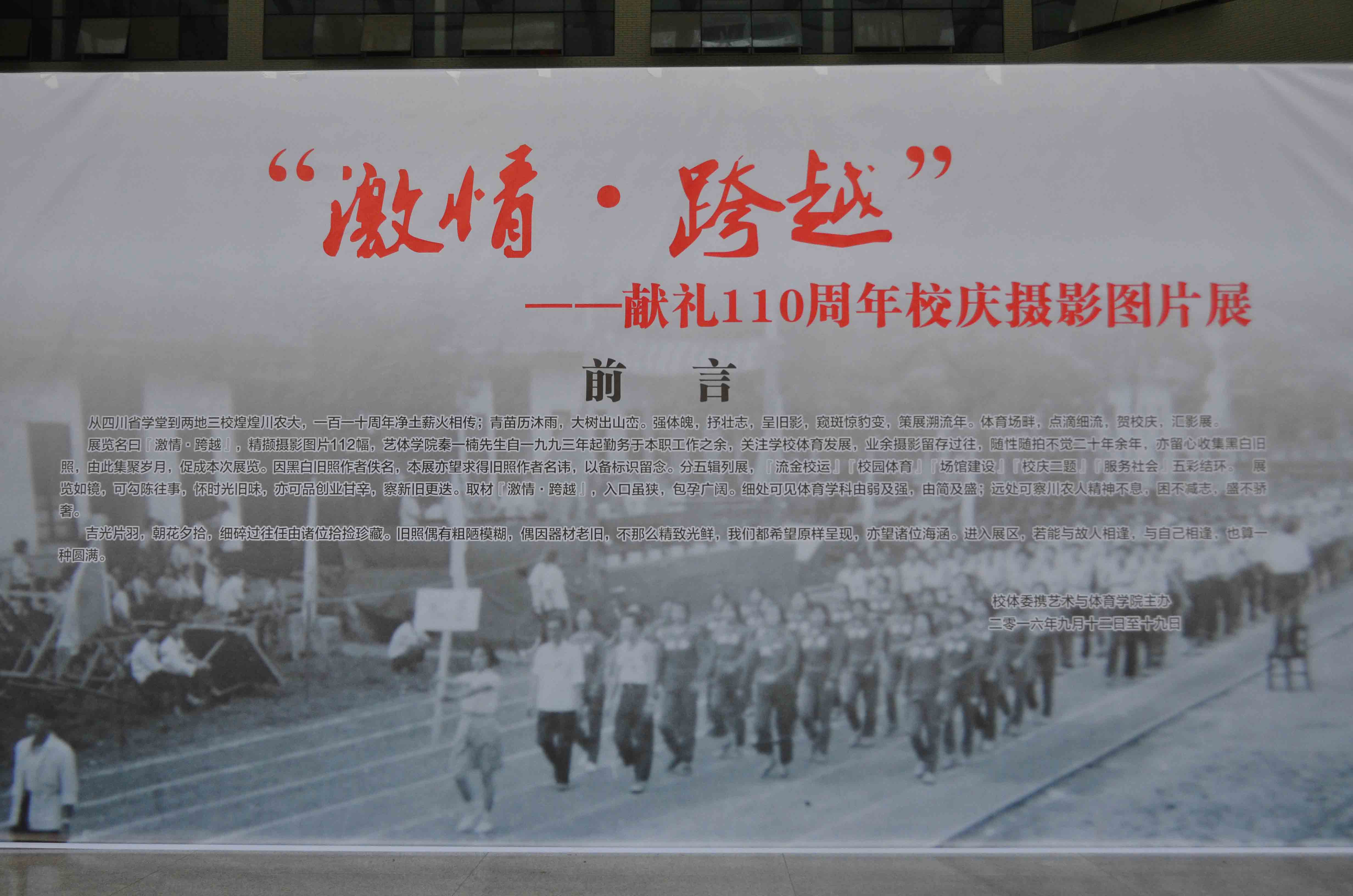 看球吧赛事资讯平台图片