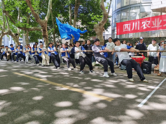 看球吧直播